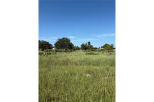 600 DICKEY ROAD, AVON PARK, FL 33825 - MLS#MFRO6333492