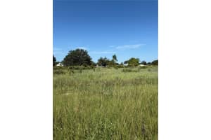600 DICKEY ROAD, AVON PARK, FL 33825 - MLS#MFRO6333492