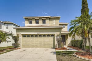 18833 LITZAU LANE, LAND O LAKES, FL 34638 - MLS#MFRO6333571
