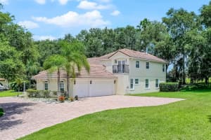 16623 ROYAL PALM DRIVE, GROVELAND, FL 34736 - MLS#MFRO6333596