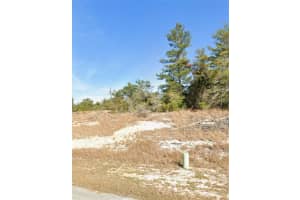 601 HOMOSASSA WAY, KISSIMMEE, FL 34759 Sold 02/10/26