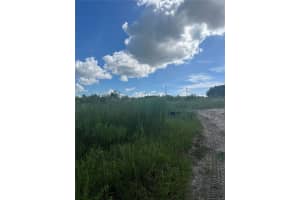 W KELLY PARK RD, APOPKA, FL 32712 - MLS#MFRO6333839