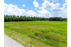 INDIGO RD, GROVELAND, FL 34736 - MLS#MFRO6333855