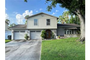 8244 Vassar Cir, TAMPA