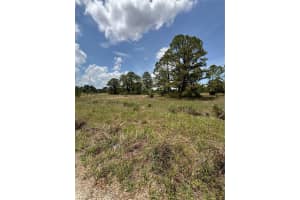 304 SUNFLOWER AVENUE, LAKE PLACID, FL 33852 Sold 09/12/25