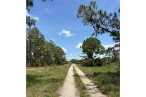 304 SUNFLOWER AVENUE, LAKE PLACID, FL 33852 Sold 09/12/25