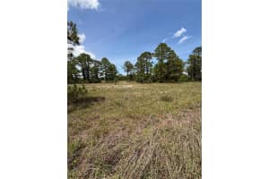 304 SUNFLOWER AVENUE, LAKE PLACID, FL 33852 Sold 09/12/25