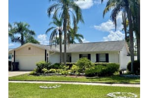 15909 Crying Wind Dr, TAMPA