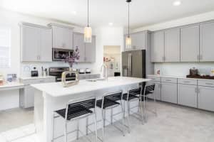 3009 NAMASTE DRIVE, CLERMONT, FL 34714 - MLS#MFRO6334094