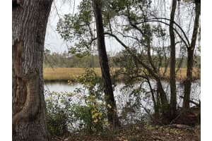 4509 KEN KNIGHT DRIVE, JACKSONVILLE, FL 32209 - MLS#MFRO6334114