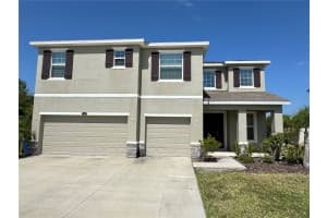 1381 BERING ROAD, WESLEY CHAPEL, FL 33543 - MLS#MFRO6334217