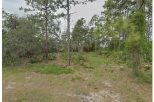 4541 SAN LORENZO DRIVE, SEBRING, FL 33872 - MLS#MFRO6334266