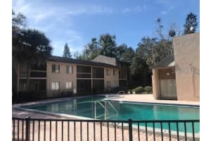 5504 Pokeweed Ct #154, TAMPA