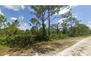 27424 NASSAU DRIVE, PUNTA GORDA, FL 33955 - MLS#MFRO6334329