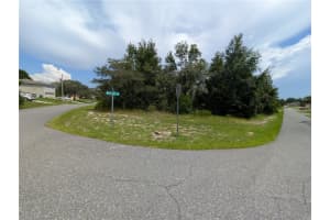 11298 REDGATE STREET, SPRING HILL, FL 34609 - MLS#MFRO6334436