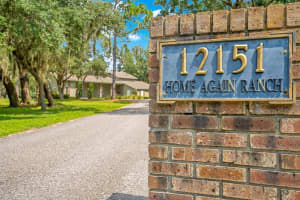 12151 WALKER POND RD, WINTER GARDEN, FL 34787 - MLS#MFRO6334442