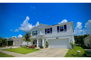 33582 SKY BLOSSOM CIRCLE, LEESBURG, FL 34788 - MLS#MFRO6334619
