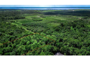 OVIEDO, OVIEDO, FL 32765 - MLS#MFRO6334652