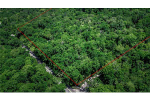 OVIEDO, OVIEDO, FL 32765 - MLS#MFRO6334652