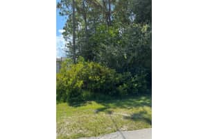 11 SELWYN PLACE, PALM COAST, FL 32164 Sold 09/05/25
