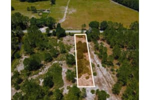 POYNER OAKS RD N, POLK CITY, FL 33868 Sold 01/12/26