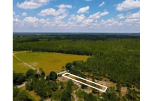 POYNER OAKS RD N, POLK CITY, FL 33868 Sold 01/12/26