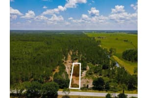 POYNER OAKS RD N, POLK CITY, FL 33868 Sold 01/12/26