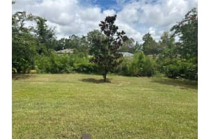 55 ROYAL OAK DRIVE, PALM COAST, FL 32164 - MLS#MFRO6335074