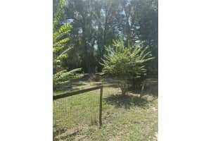 FERN DR, LEESBURG, FL 34748 - MLS#MFRO6335288