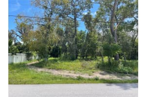 12338 TERRA CEIA AVENUE, NEW PORT RICHEY, FL 34654 - MLS#MFRO6335348