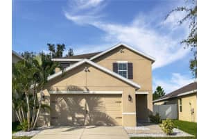 10121 Geese Trail Cir, SUN CITY CENTER
