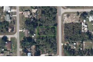 346 HALLMARK AVENUE, LAKE PLACID, FL 33852 - MLS#MFRO6335391