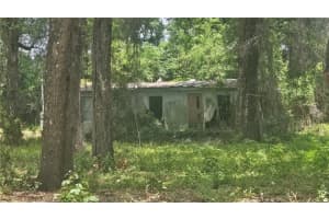 17693 30TH AVENUE, SUMMERFIELD, FL 34491 - MLS#MFRO6335433