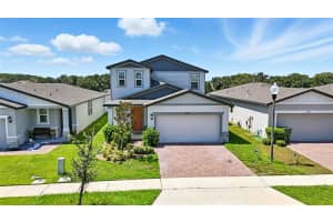 29875 ANAHID DRIVE, LEESBURG, FL 34748 - MLS#MFRO6335485