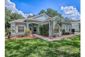 895 Silvertip Rd, APOPKA