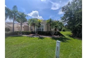 10411 RIVERBURN DRIVE, TAMPA, FL 33647 - MLS#MFRO6335632
