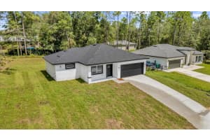 99 GOLDCOAST PLACE, CITRUS SPRINGS, FL 34434 - MLS#MFRO6335645