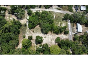 17308 PUTTER LANE, SPRING HILL, FL 34610 - MLS#MFRO6335659