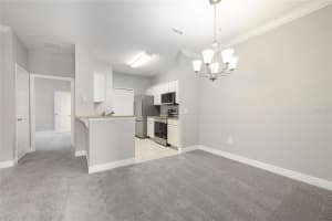 1300 EASTERN PECAN PLACE, WINTER GARDEN, FL 34787 - MLS#MFRO6335663