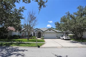10206 Shadow Branch Dr, TAMPA