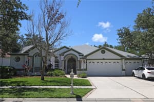 10206 SHADOW BRANCH DRIVE, TAMPA, FL 33647 - MLS#MFRO6335676