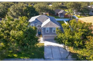1040 TAWNY EAGLE DRIVE, GROVELAND, FL 34736 - MLS#MFRO6335679