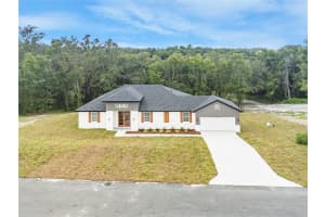 36473 PINEY RIDGE BLVD, FRUITLAND PARK, FL 34731 - MLS#MFRO6335827
