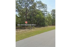 W G MARTINELLI BLVD #1801, CITRUS SPRINGS, FL 34434 - MLS#MFRO6335849