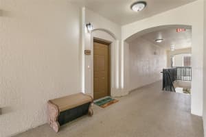11446 JASPER KAY TERRACE, WINDERMERE, FL 34786 - MLS#MFRO6335934
