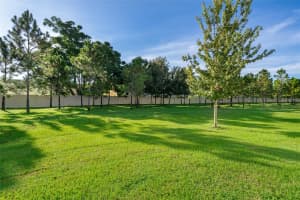 2555 SWEET VIBURNUM WAY, OCOEE, FL 34761 - MLS#MFRO6336104