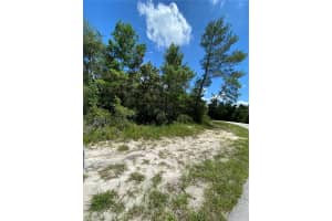 766 ARLENE DRIVE, DELTONA, FL 32725 - MLS#MFRO6336239
