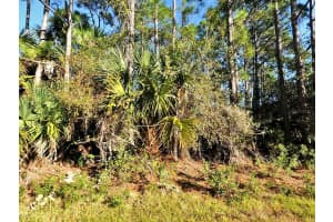 LA ROSA AVE, NORTH PORT, FL 34286 - MLS#MFRO6336255