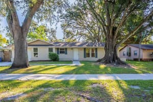 4102 BAY HILLS BOULEVARD, SAFETY HARBOR, FL 34695 - MLS#MFRO6336533