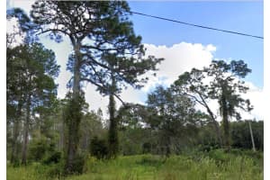 00 LADD AVENUE, NEW PORT RICHEY, FL 34654 - MLS#MFRO6336712